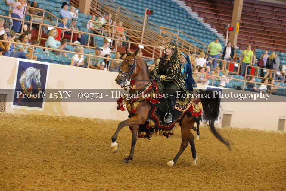 Proof 15YN_09771
