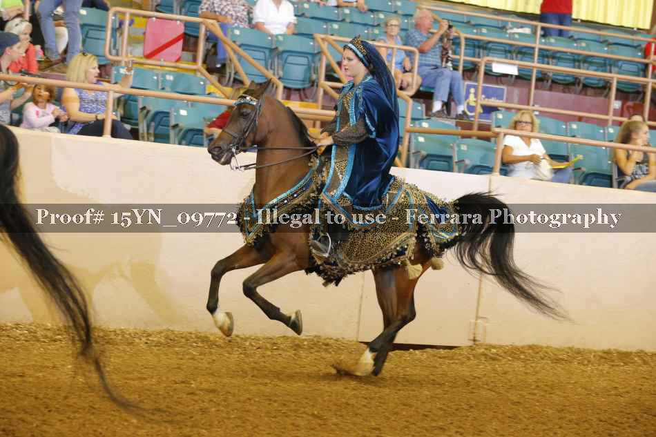 Proof 15YN_09772