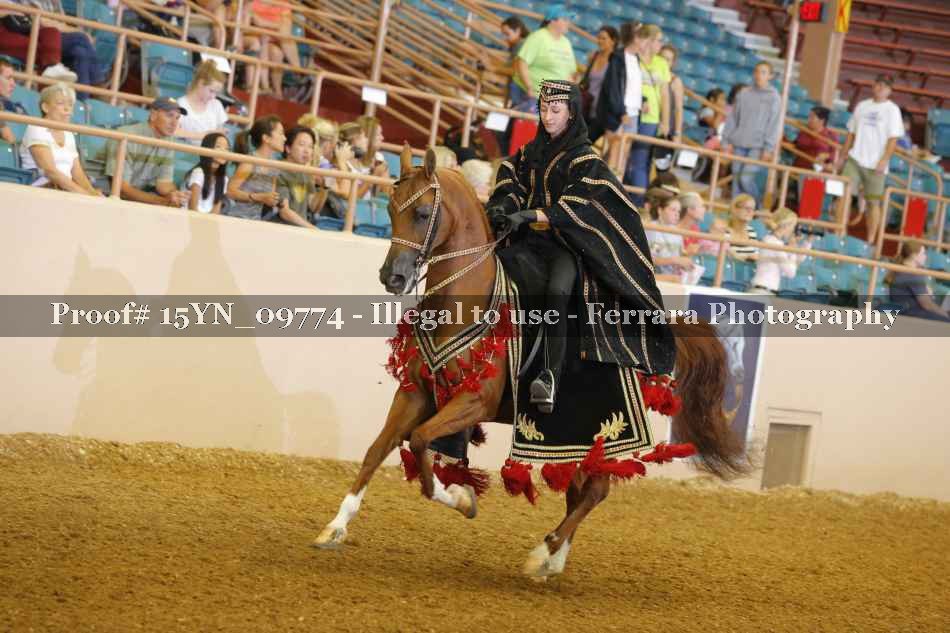 Proof 15YN_09774