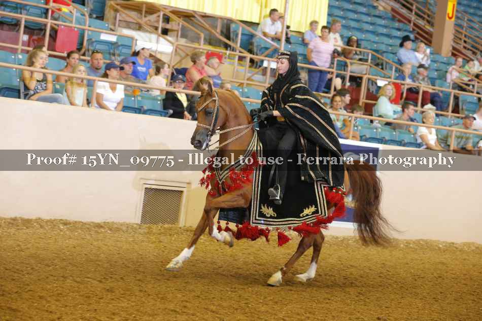 Proof 15YN_09775