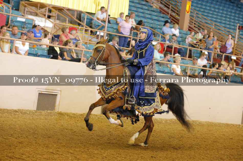 Proof 15YN_09776