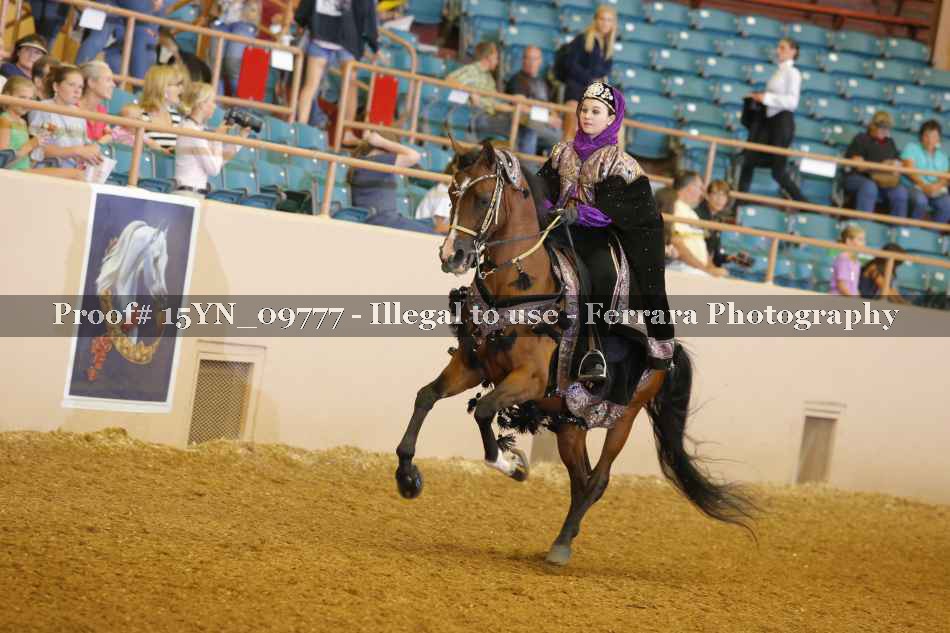 Proof 15YN_09777