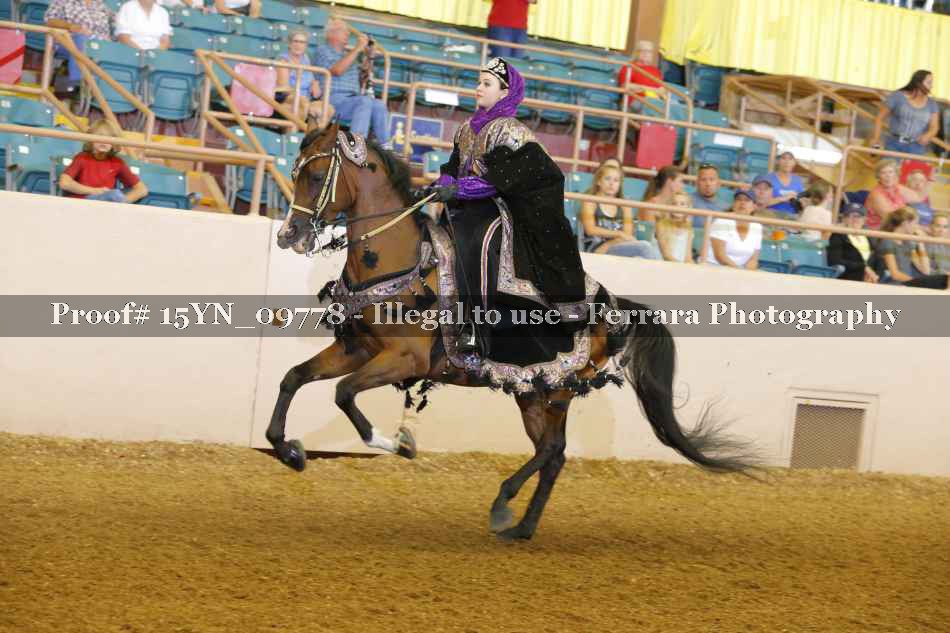 Proof 15YN_09778