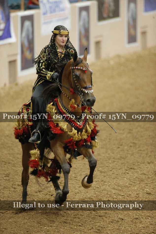 Proof 15YN_09779