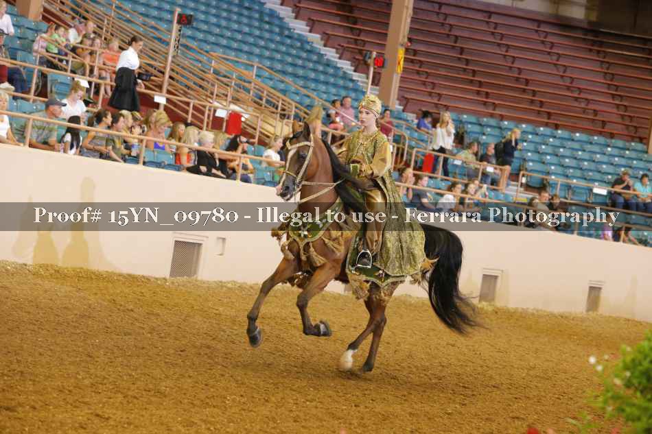 Proof 15YN_09780