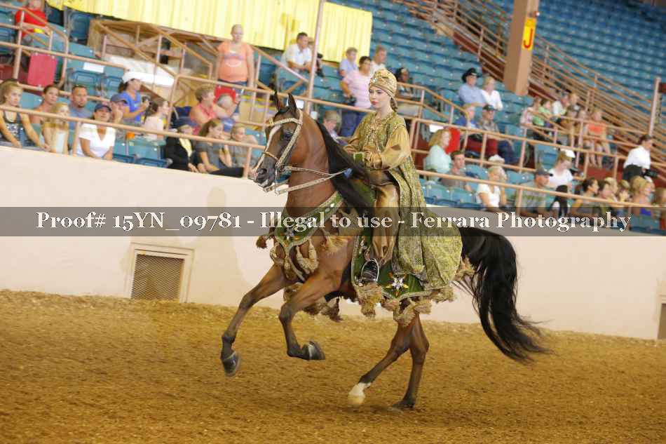 Proof 15YN_09781
