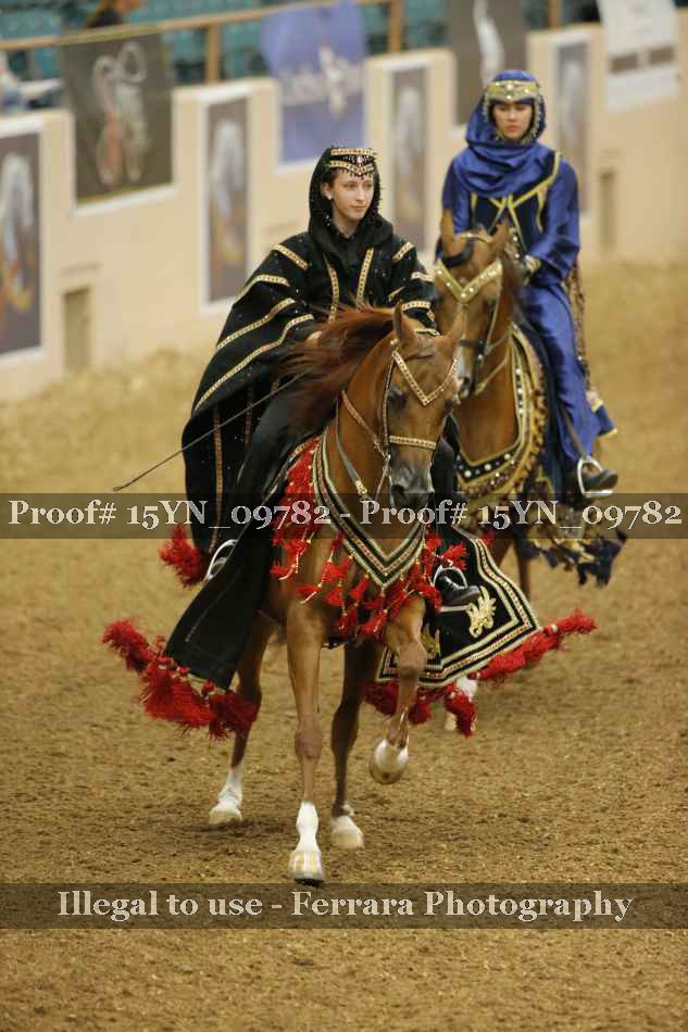 Proof 15YN_09782