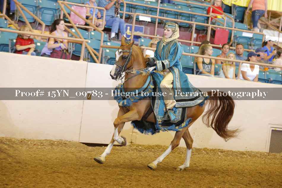 Proof 15YN_09783