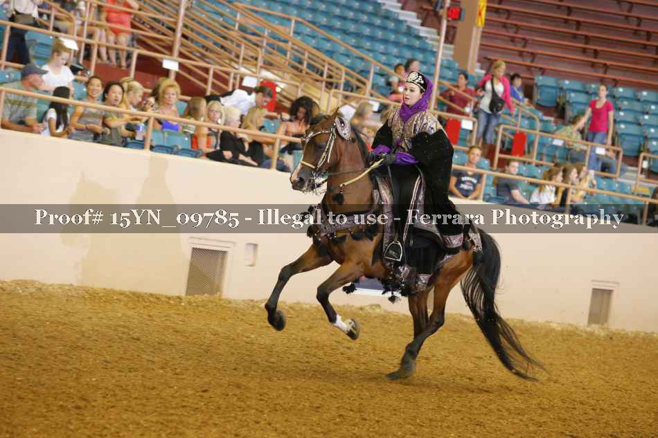 Proof 15YN_09785