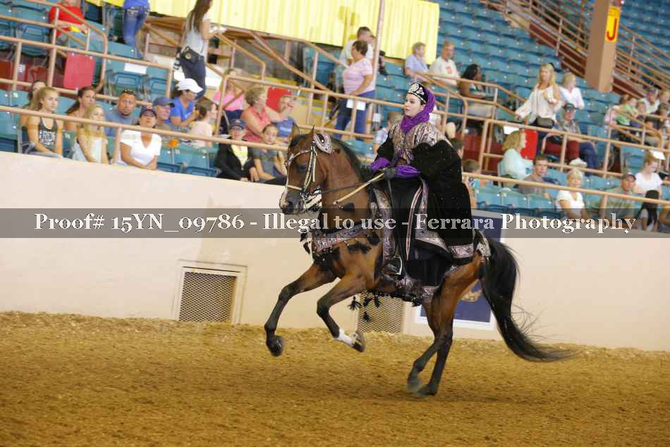 Proof 15YN_09786