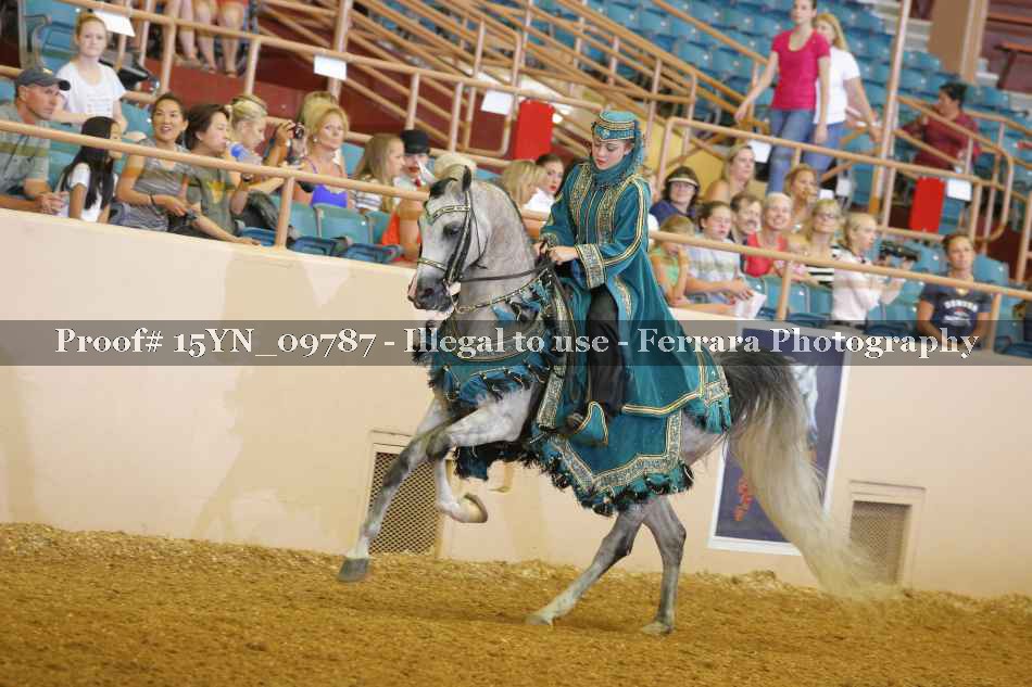 Proof 15YN_09787