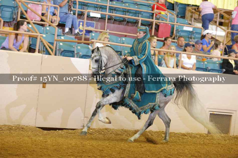 Proof 15YN_09788