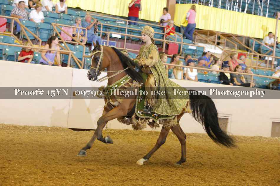 Proof 15YN_09790