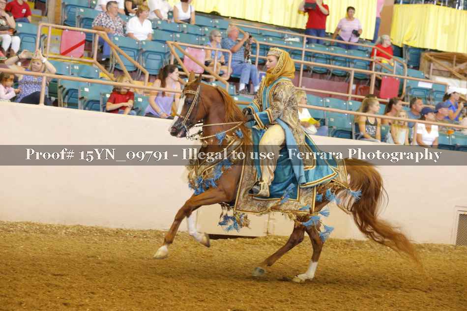 Proof 15YN_09791