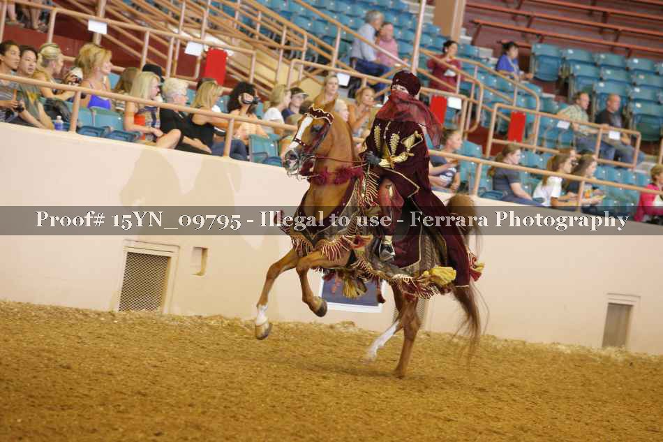 Proof 15YN_09795