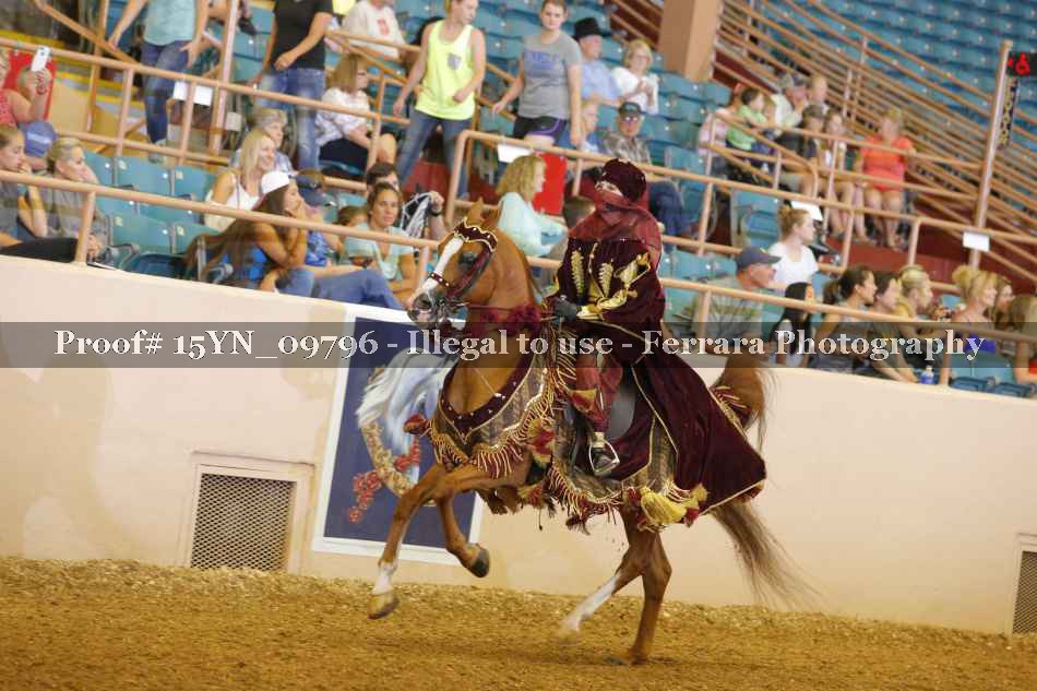Proof 15YN_09796