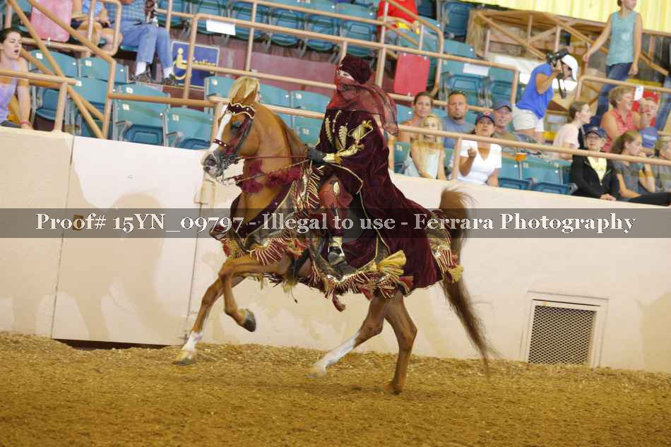 Proof 15YN_09797