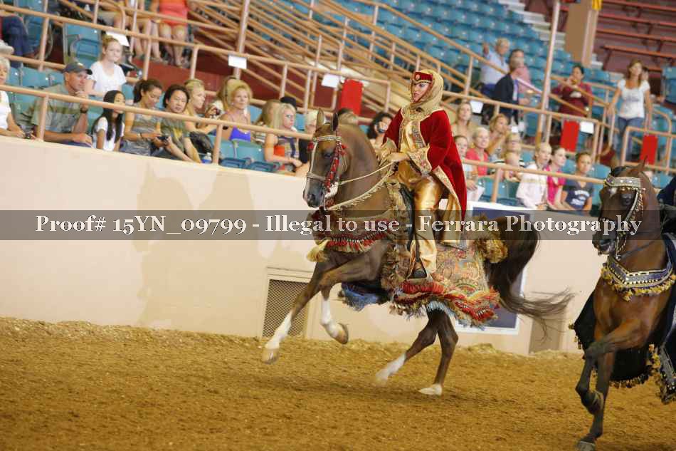 Proof 15YN_09799