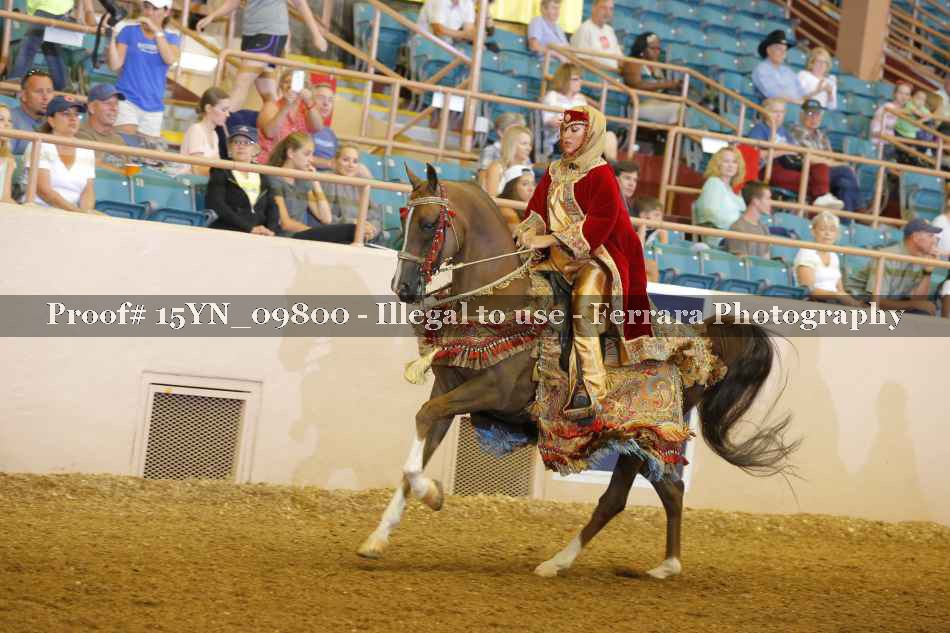 Proof 15YN_09800