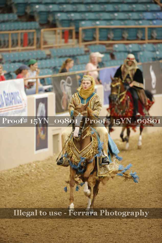 Proof 15YN_09801
