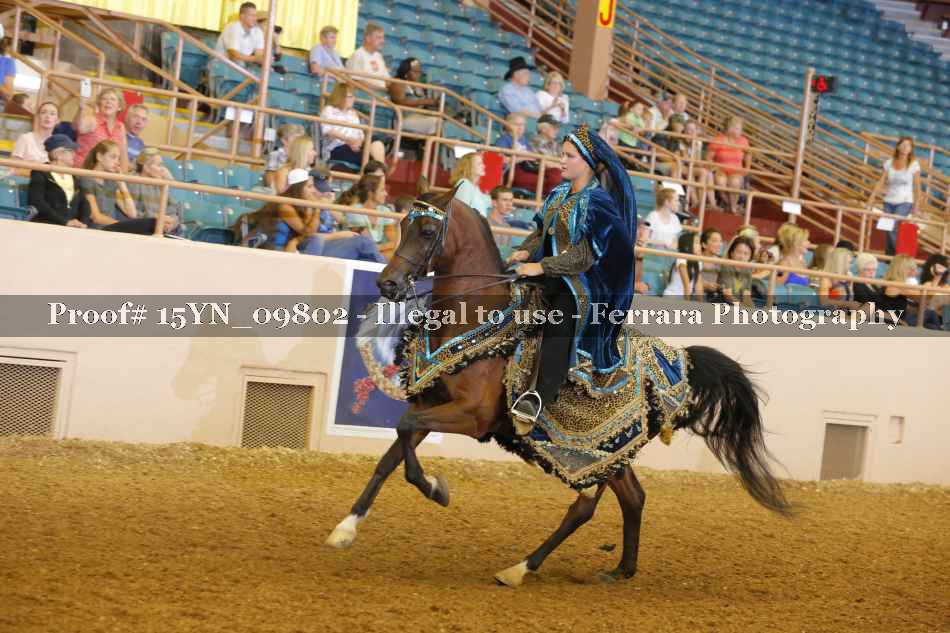 Proof 15YN_09802