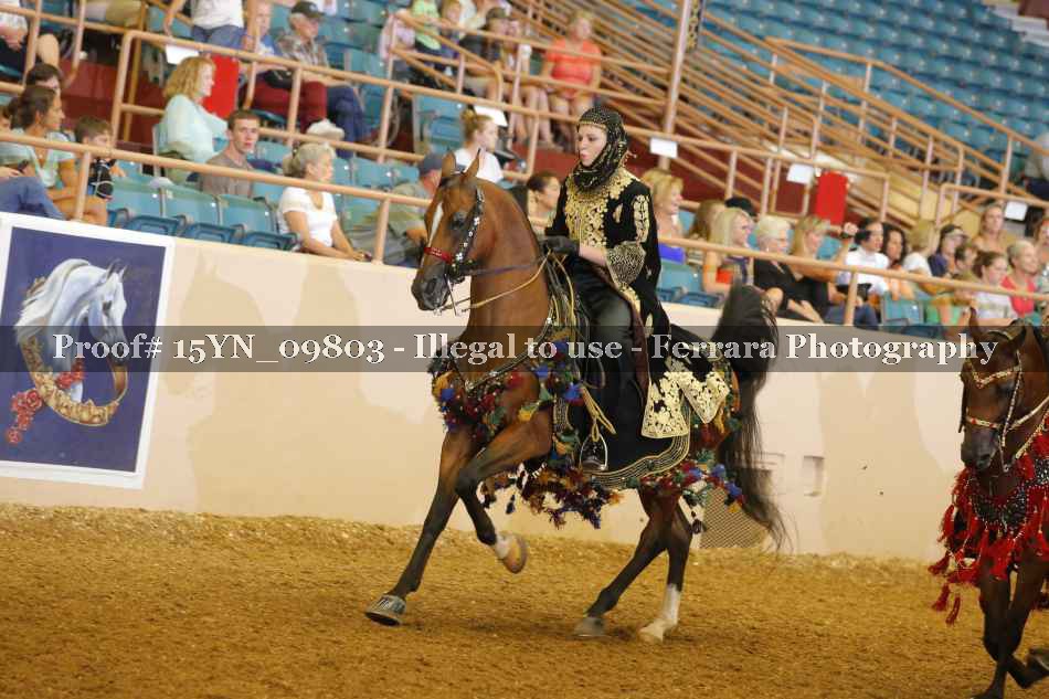 Proof 15YN_09803
