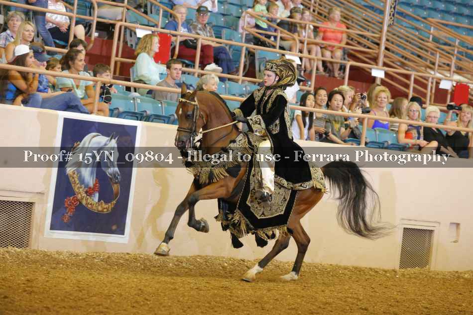 Proof 15YN_09804