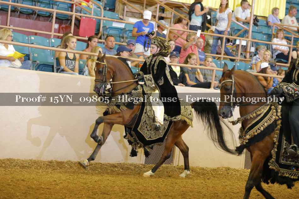 Proof 15YN_09805