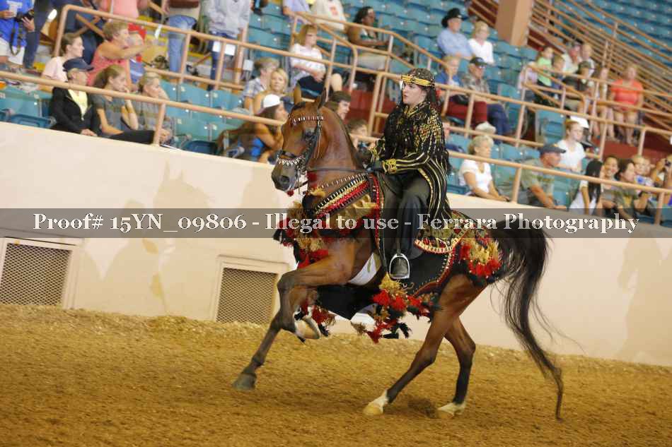 Proof 15YN_09806