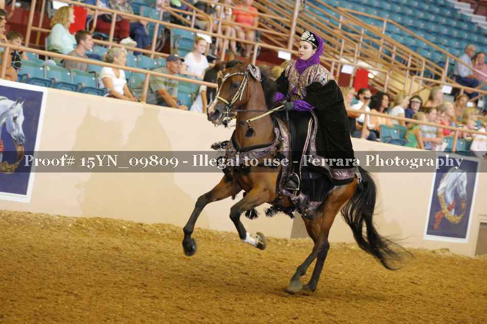 Proof 15YN_09809