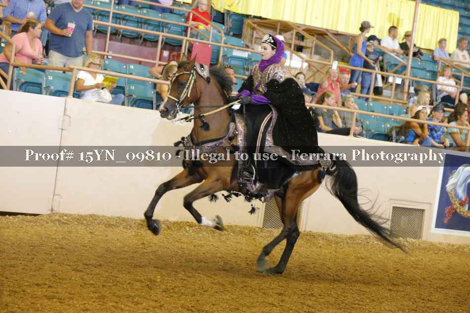 Proof 15YN_09810