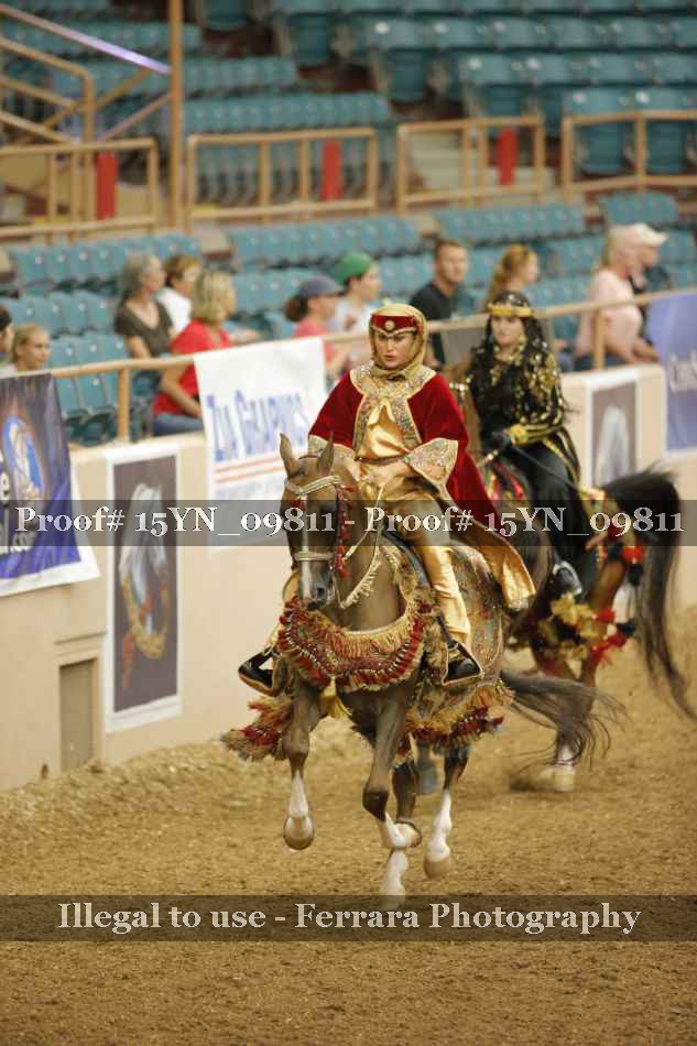 Proof 15YN_09811