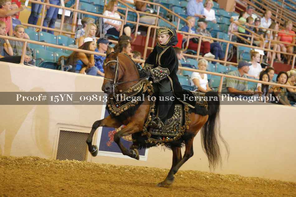 Proof 15YN_09813