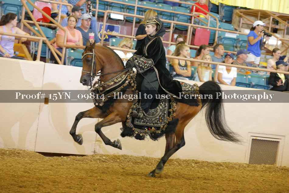 Proof 15YN_09814