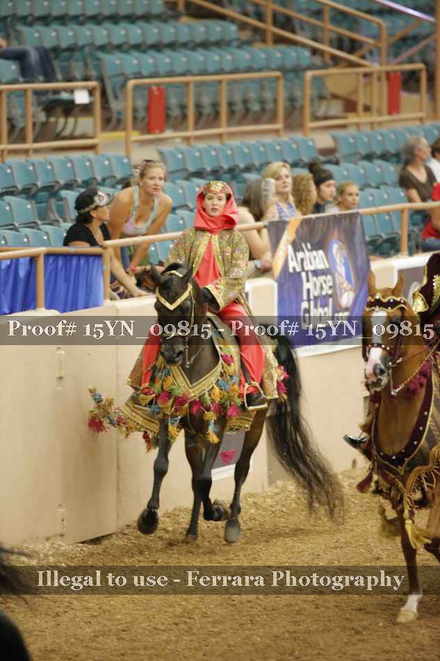 Proof 15YN_09815