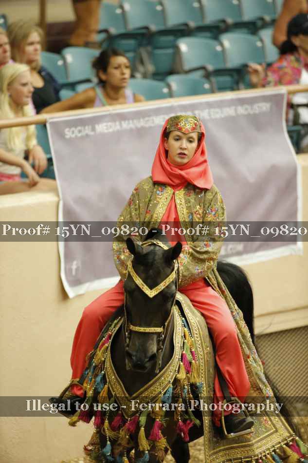 Proof 15YN_09820