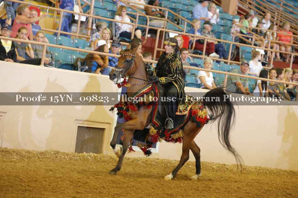 Proof 15YN_09823