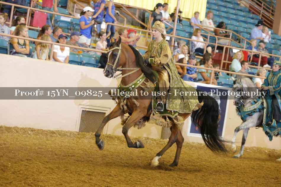 Proof 15YN_09825
