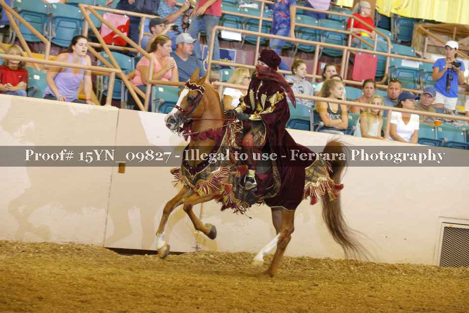 Proof 15YN_09827