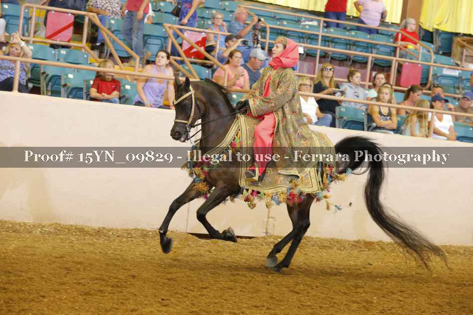 Proof 15YN_09829