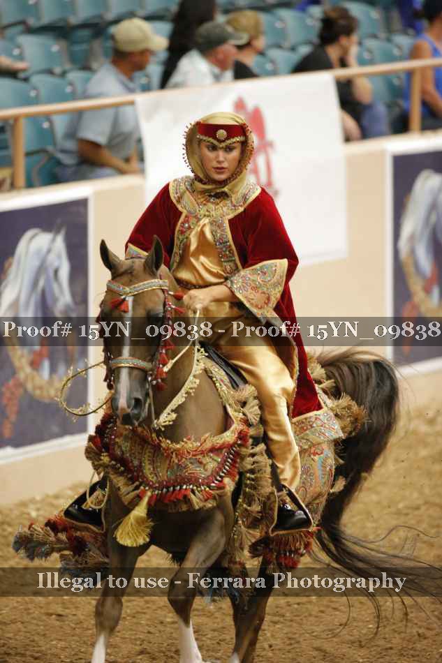 Proof 15YN_09838