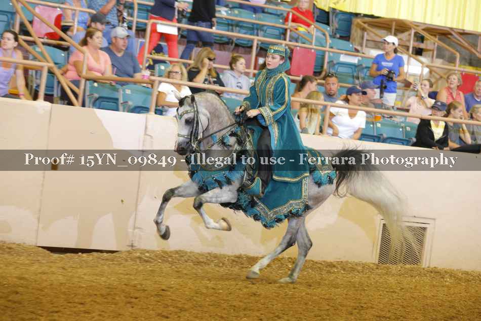 Proof 15YN_09849