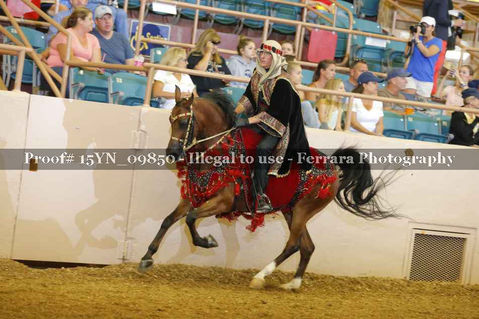Proof 15YN_09850