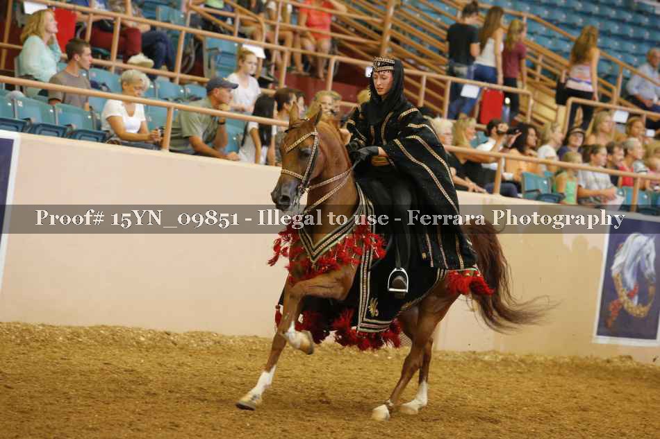 Proof 15YN_09851