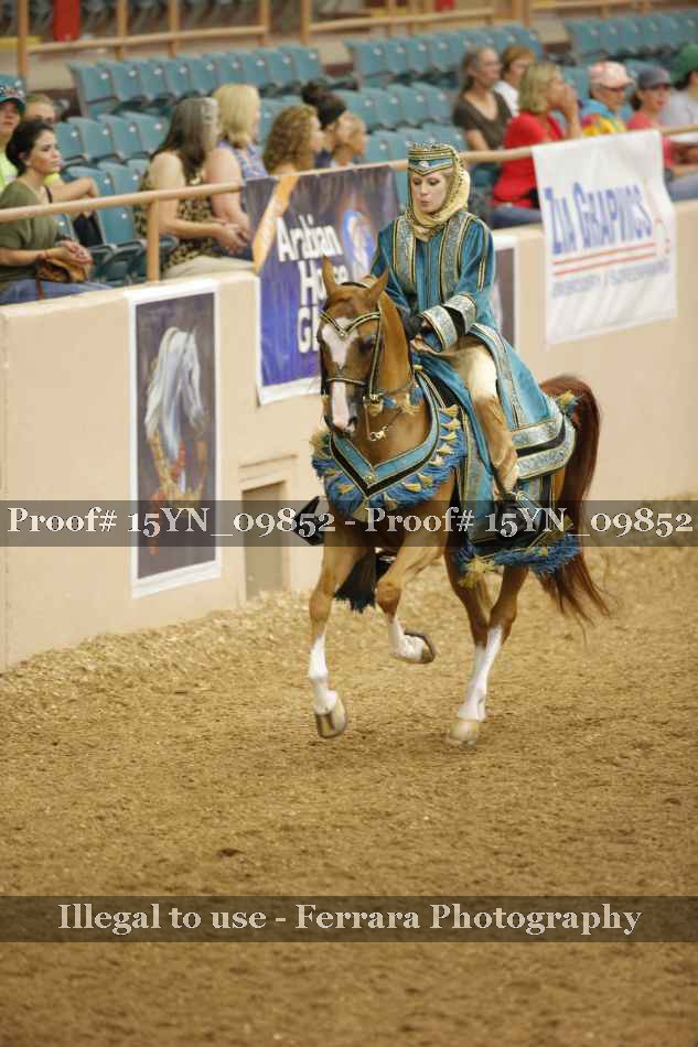 Proof 15YN_09852