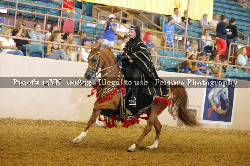 Proof 15YN_09853
