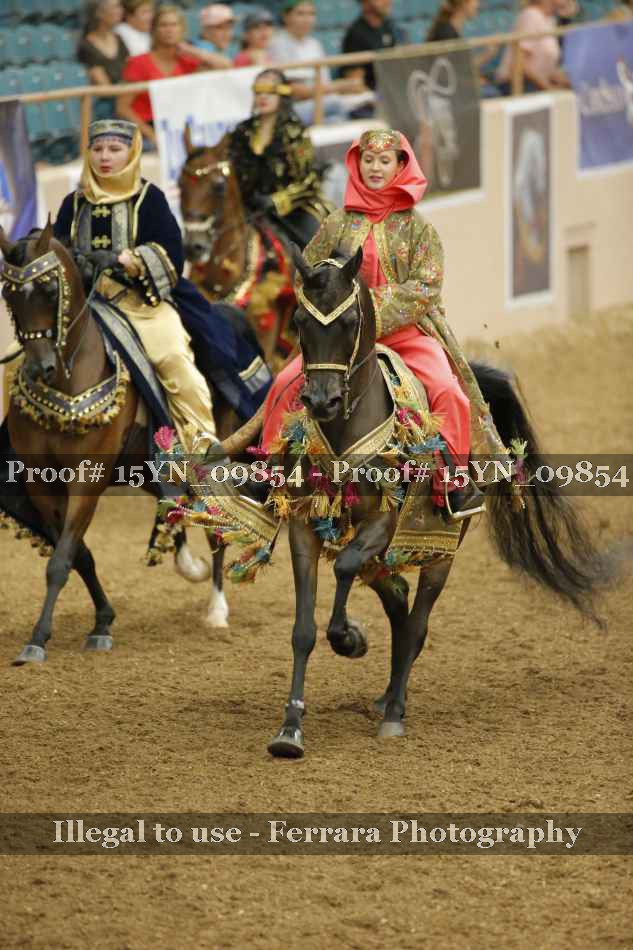 Proof 15YN_09854
