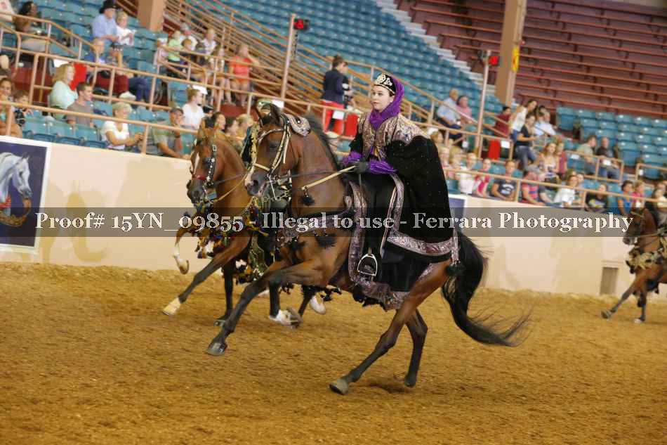 Proof 15YN_09855