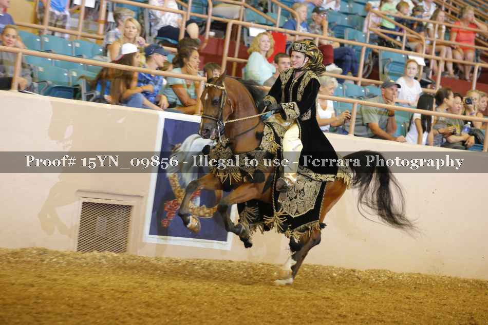 Proof 15YN_09856