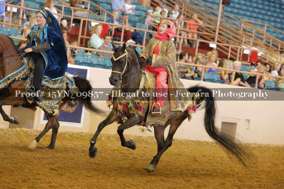 Proof 15YN_09857